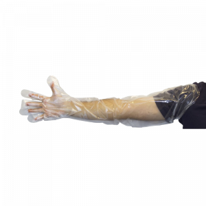 35" Clear Polyethylene Gloves - GDPE-LG-35